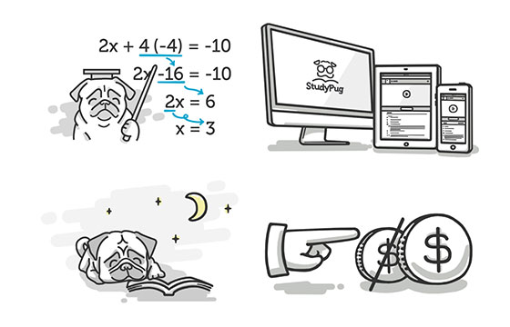 Illustration example of some proprietary artwork I drew for StudyPug